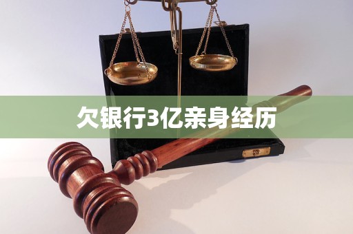 欠银行3亿亲身经历