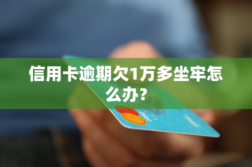 信用卡逾期欠1万多坐牢怎么办？