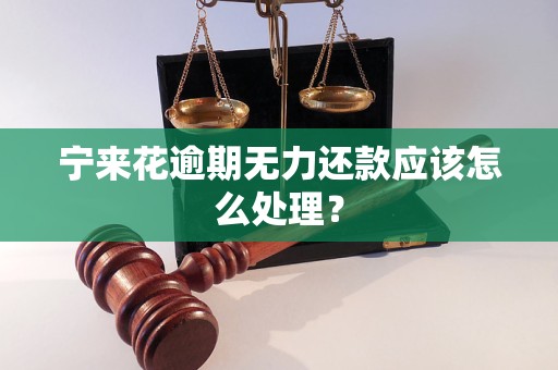 宁来花逾期无力还款应该怎么处理？