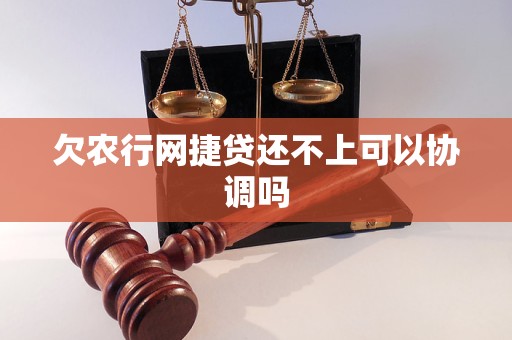 欠农行网捷贷还不上可以协调吗