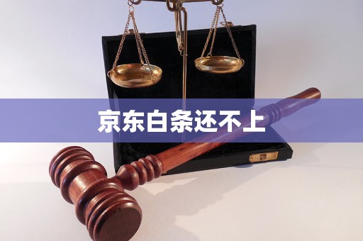 京东白条还不上