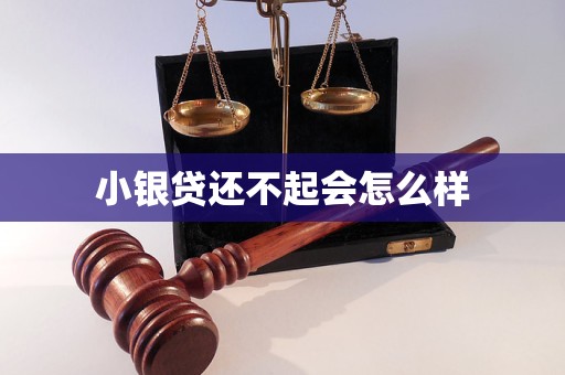 小银贷还不起会怎么样