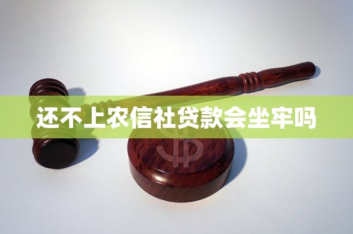 还不上农信社贷款会坐牢吗