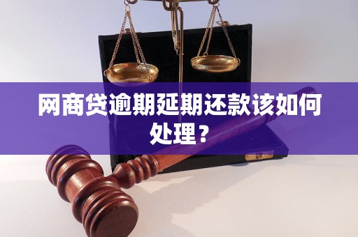 网商贷逾期延期还款该如何处理？