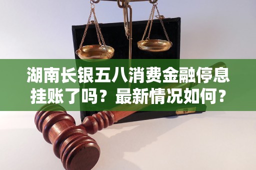 湖南长银五八消费金融停息挂账了吗？最新情况如何？