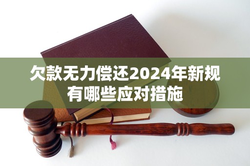 欠款无力偿还2024年新规有哪些应对措施