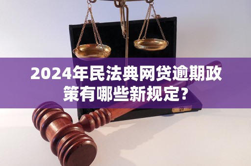 2024年民法典网贷逾期政策有哪些新规定？