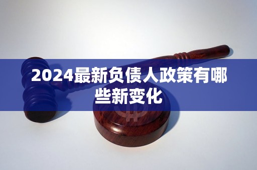 2024最新负债人政策有哪些新变化