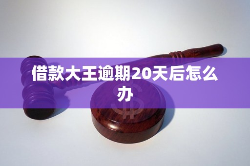 借款大王逾期20天后怎么办