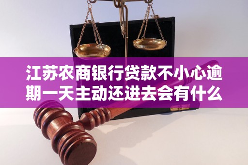 江苏农商银行贷款不小心逾期一天主动还进去会有什么影响？