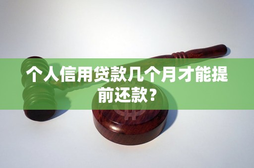 个人信用贷款几个月才能提前还款？