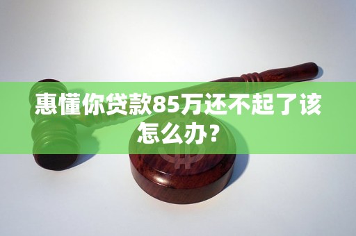 惠懂你贷款85万还不起了该怎么办？