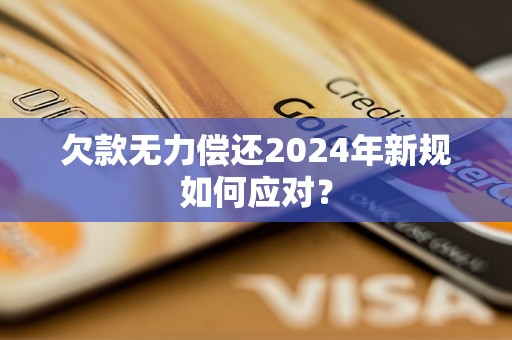 欠款无力偿还2024年新规如何应对？