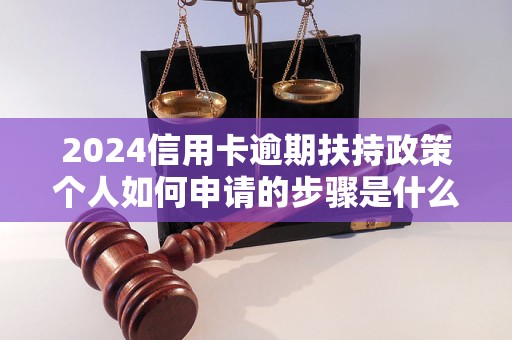 2024信用卡逾期扶持政策个人如何申请的步骤是什么？