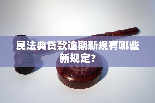 民法典贷款逾期新规有哪些新规定？