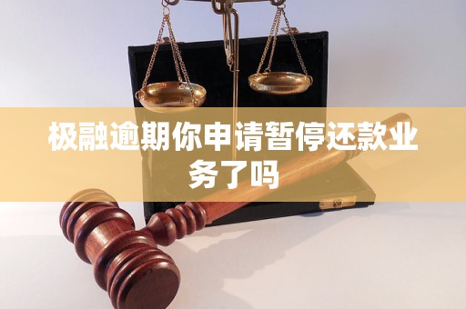 极融逾期你申请暂停还款业务了吗