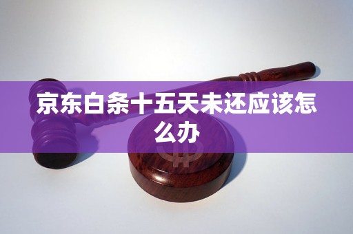 京东白条十五天未还应该怎么办