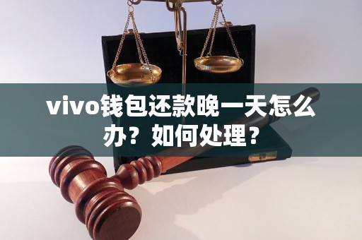 vivo钱包还款晚一天怎么办？如何处理？