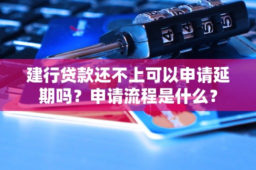 建行贷款还不上可以申请延期吗？申请流程是什么？