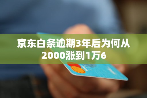 京东白条逾期3年后为何从2000涨到1万6