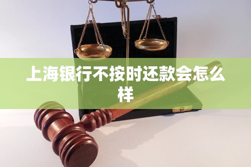 上海银行不按时还款会怎么样