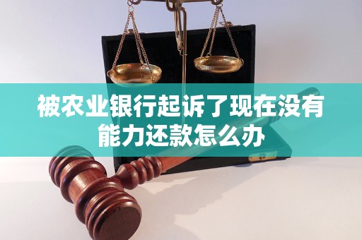 被农业银行起诉了现在没有能力还款怎么办