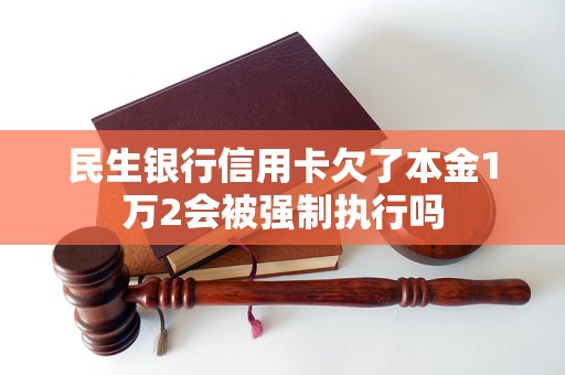 民生银行信用卡欠了本金1万2会被强制执行吗