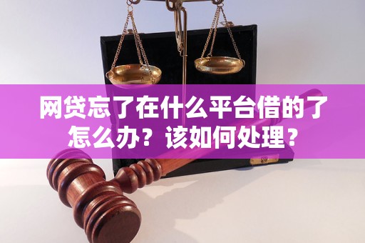 网贷忘了在什么平台借的了怎么办？该如何处理？