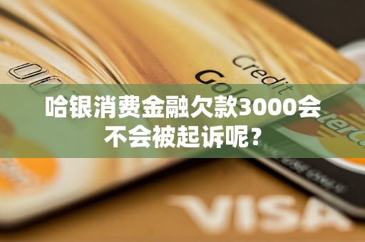 哈银消费金融欠款3000会不会被起诉呢？