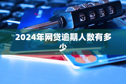 2024年网贷逾期人数有多少