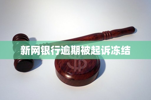 新网银行逾期被起诉冻结