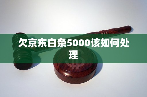 欠京东白条5000该如何处理