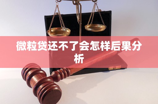 微粒贷还不了会怎样后果分析