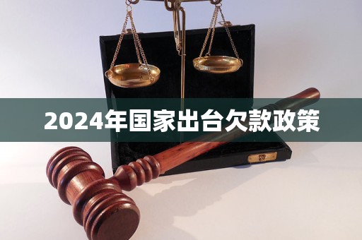 2024年国家出台欠款政策