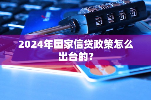 2024年国家信贷政策怎么出台的？