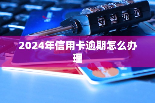 2024年信用卡逾期怎么办理