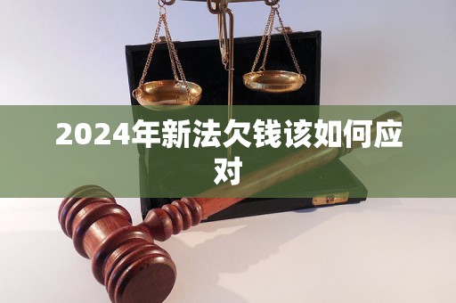 2024年新法欠钱该如何应对