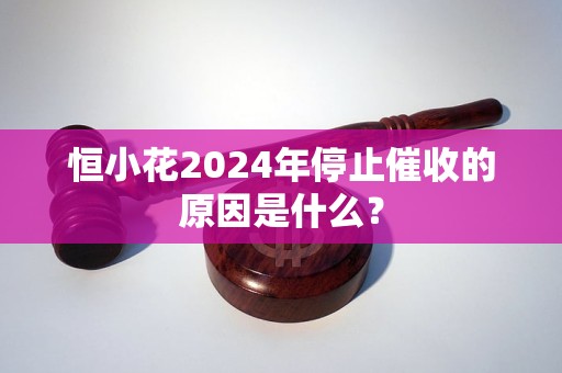 恒小花2024年停止催收的原因是什么？