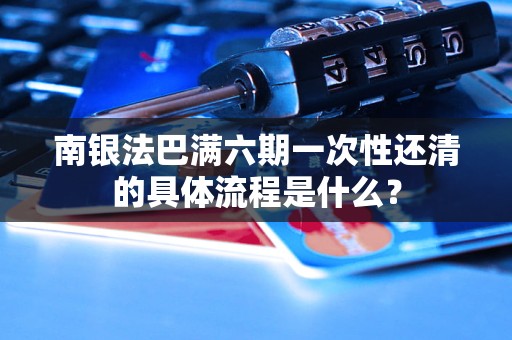 南银法巴满六期一次性还清的具体流程是什么？