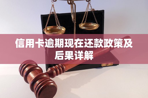 信用卡逾期现在还款政策及后果详解