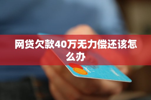 网贷欠款40万无力偿还该怎么办