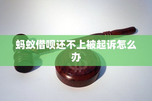 蚂蚁借呗还不上被起诉怎么办