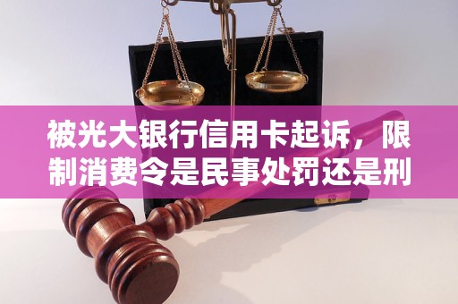 被光大银行信用卡起诉，限制消费令是民事处罚还是刑事处罚？