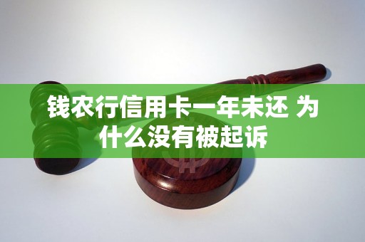 钱农行信用卡一年未还 为什么没有被起诉