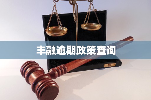 丰融逾期政策查询