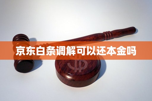 京东白条调解可以还本金吗