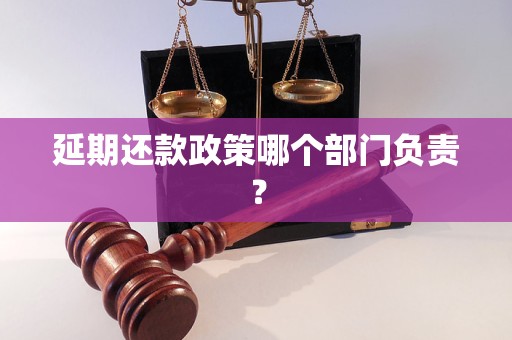 延期还款政策哪个部门负责？